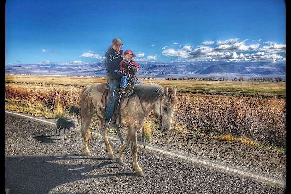 Ranch Life Gallery